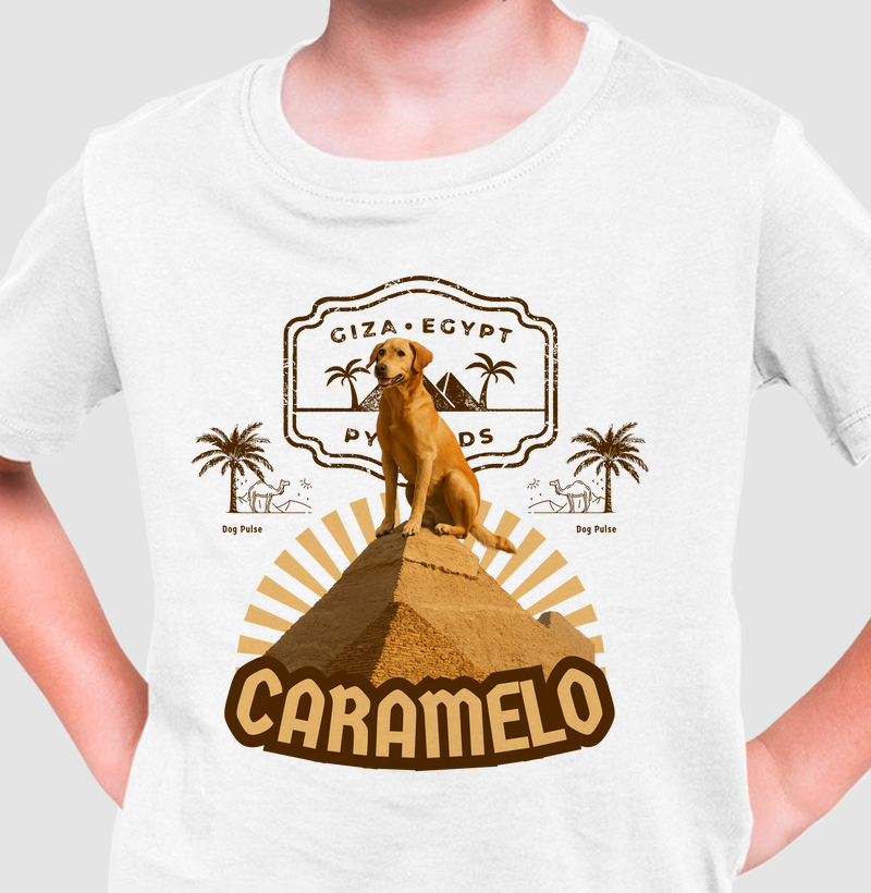 Camiseta Infantil Dog Pulse - Caramelo da Pirâmide