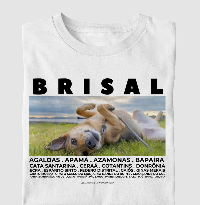 Brisal Caralemo - Nome da Coisa