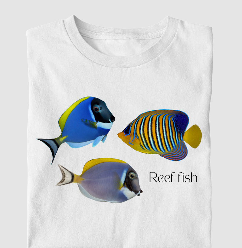 Reef Fish