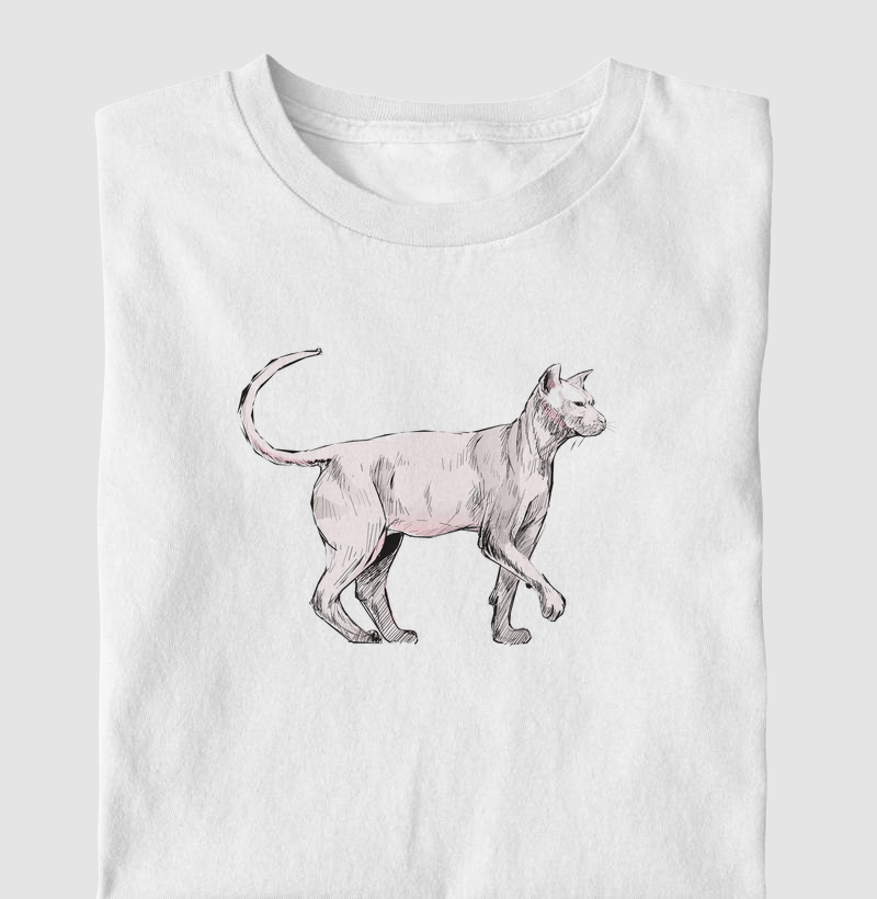 Sphynx