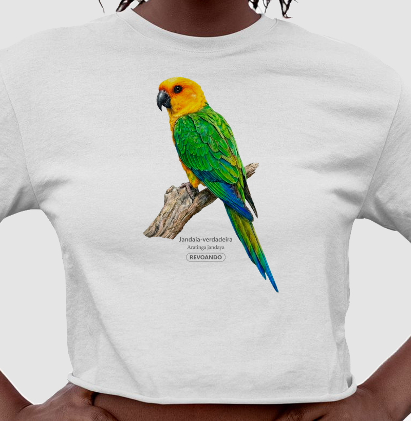 Traços Alados - Jandaia-verdadeira - Cropped