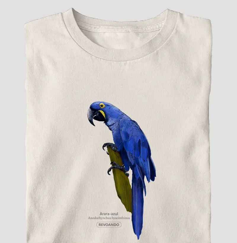 Aves do Brasil - Arara-azul - Oversized