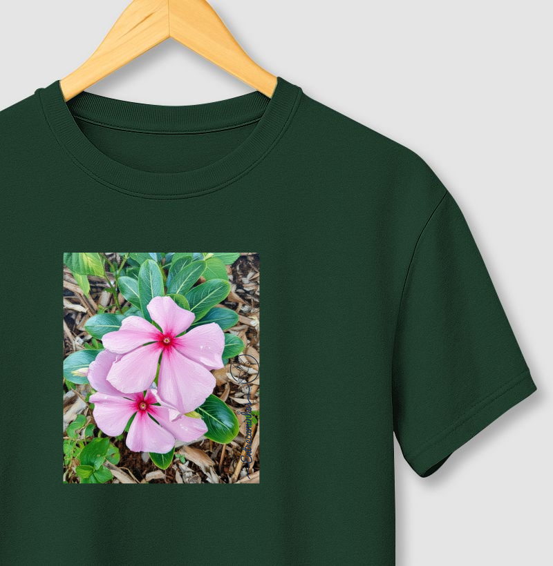 Vinca de Madagascar (tela)