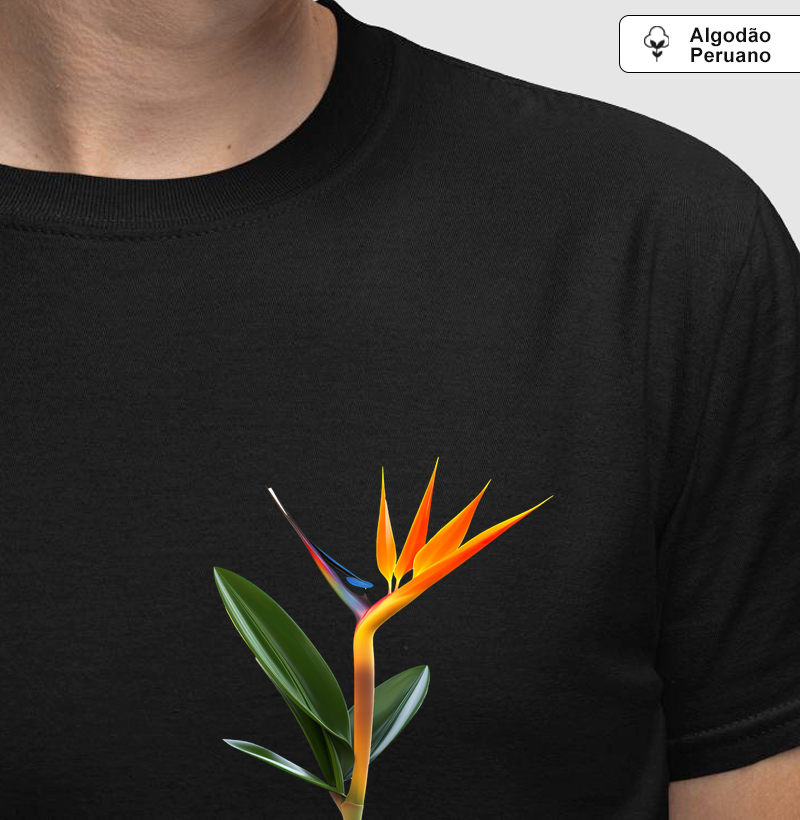 Minimalista planta - Peruano