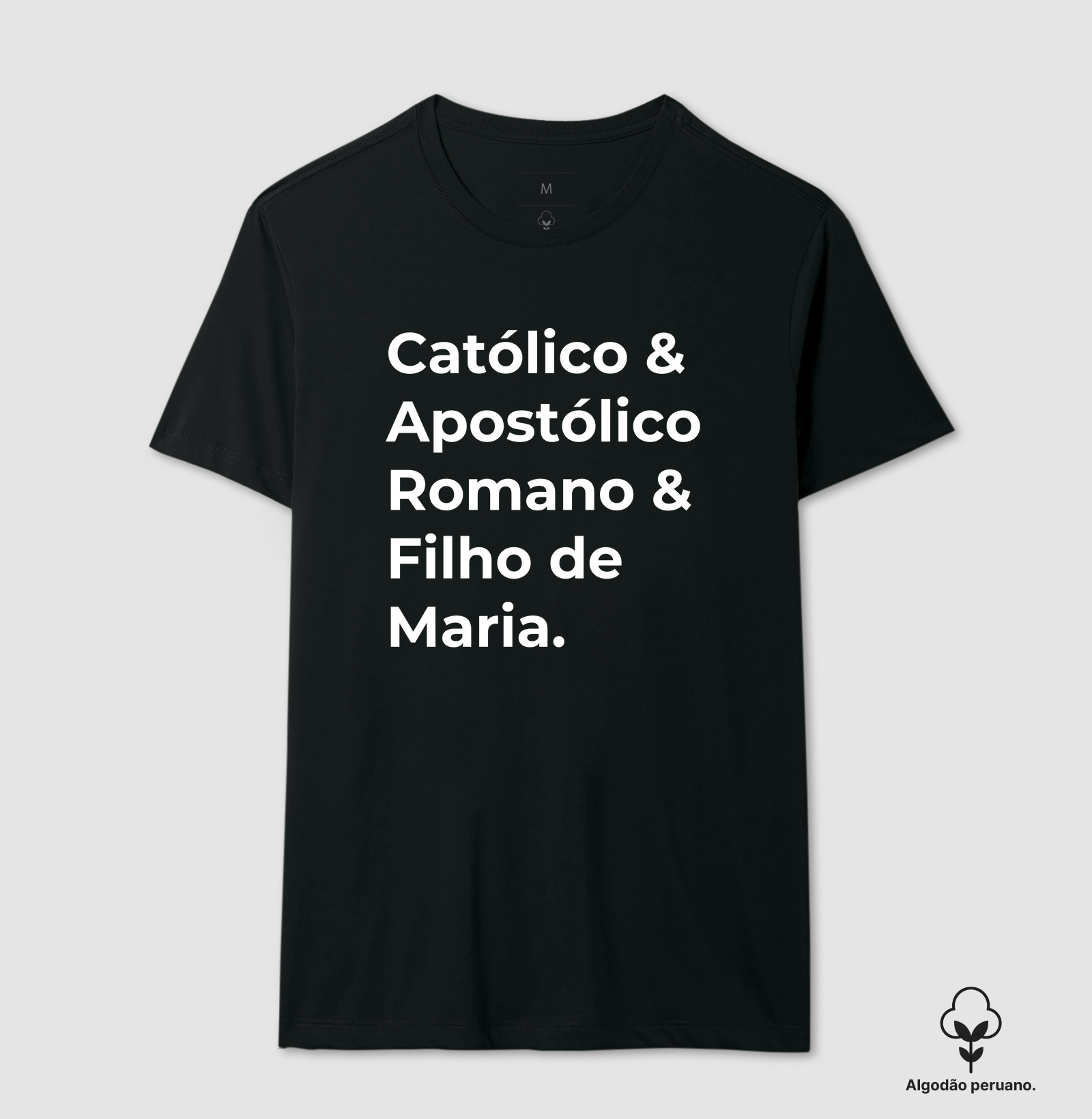Católico Apostólico