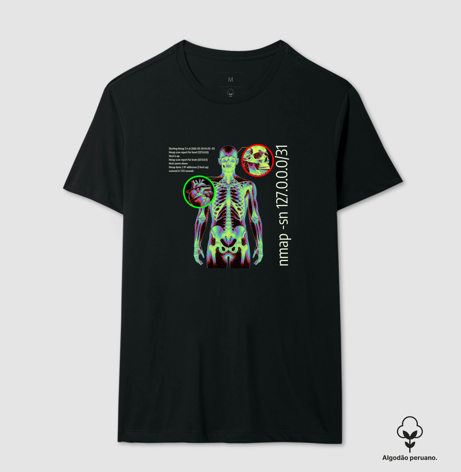 Nmap Body Scan