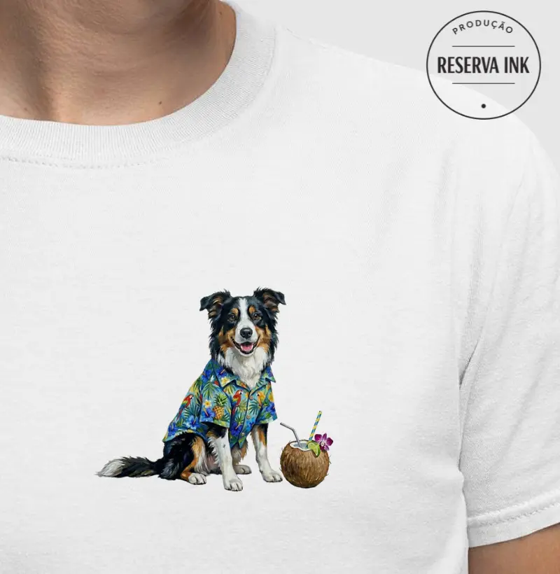 Border Collie - Férias