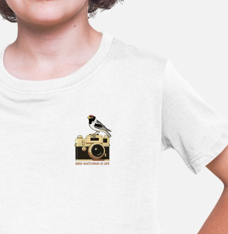 Mini Aves - BirdWatching - Infantil