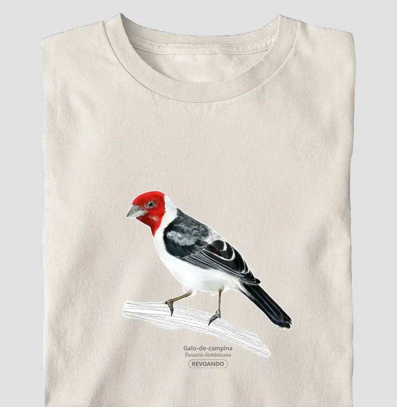 Aves do Brasil - Galo-de-campina - Oversized