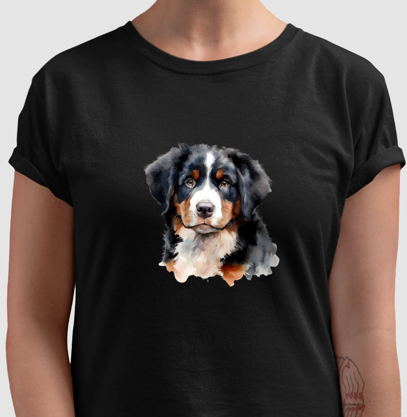 Bernese filhote