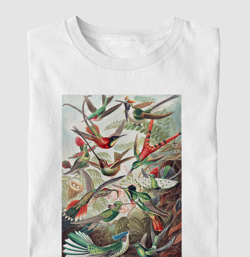 Kolibris