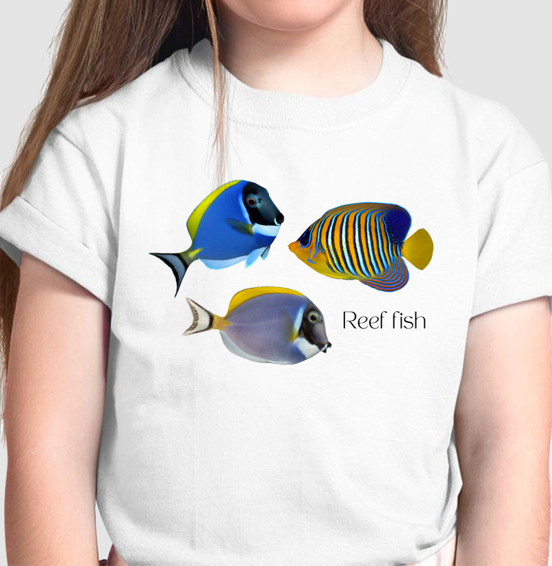 Reef Fish