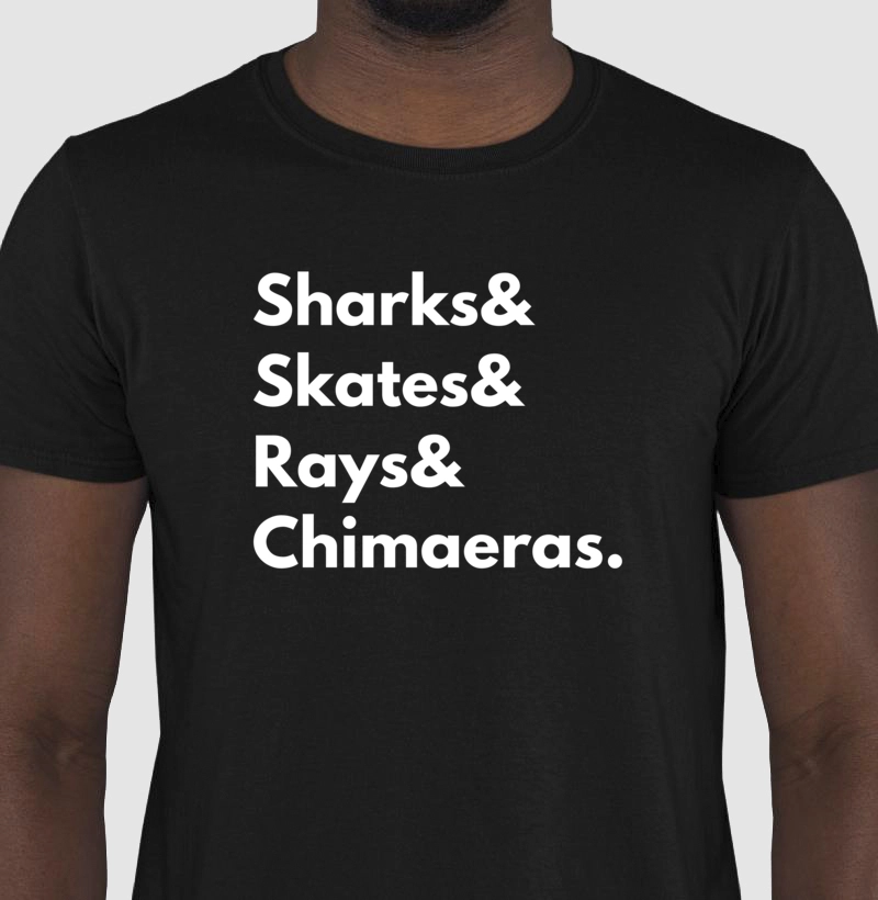 Chondrichthyes