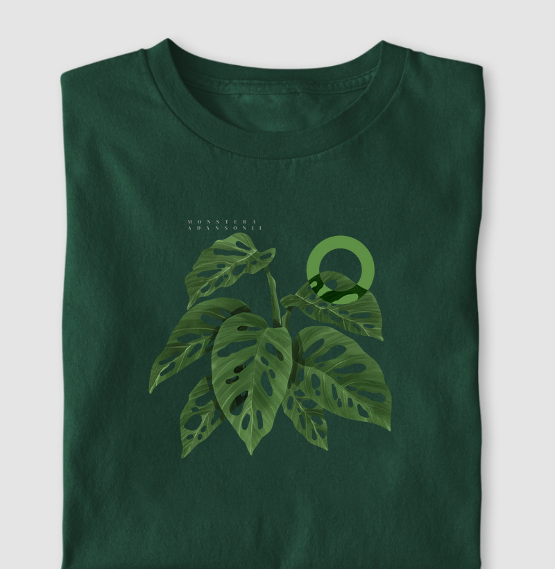 Monstera Adansonii - Ilustropical