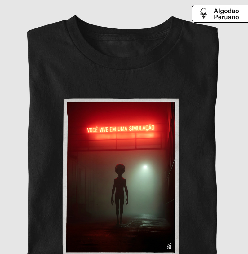 Você vive em uma simulação