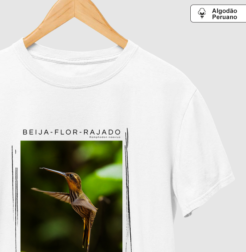 Beija-Flor-Rajado