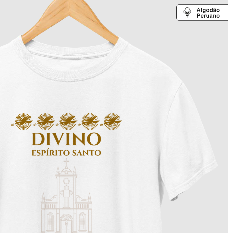 Festa do Divino de Turmalina 2026