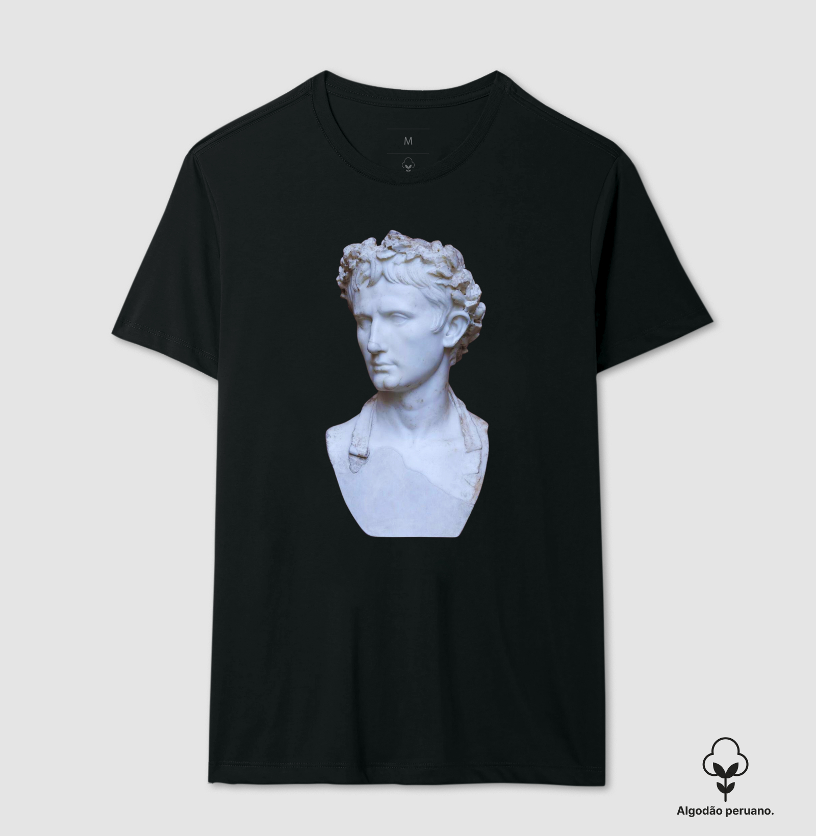 AUGUSTUS - Pater Patriae