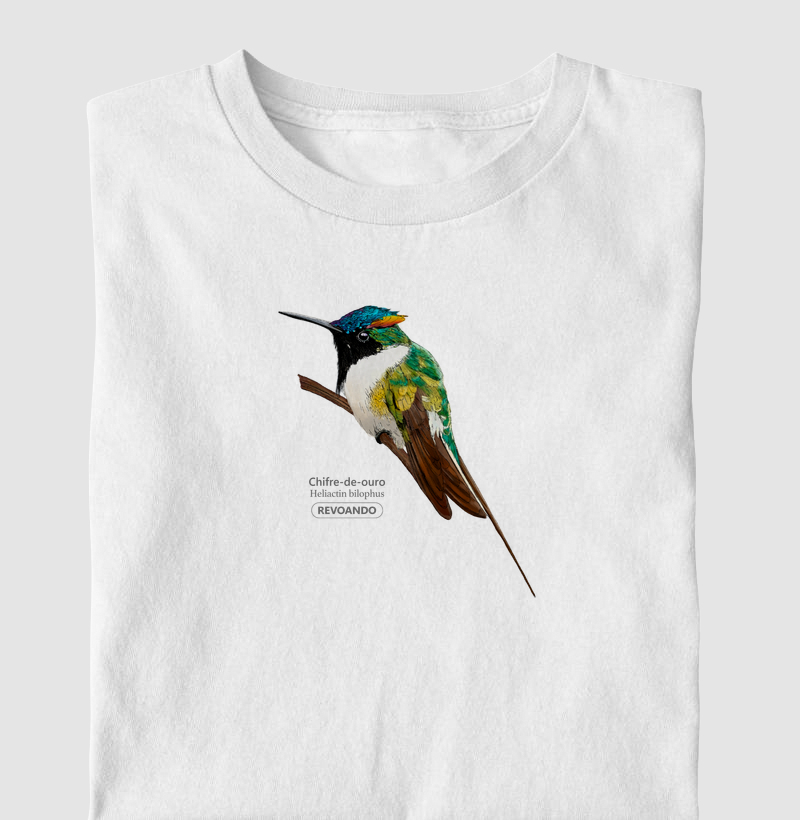 Aves do Brasil - Chifre-de-ouro