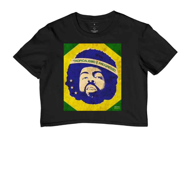 Tropicalismo e Progresso
