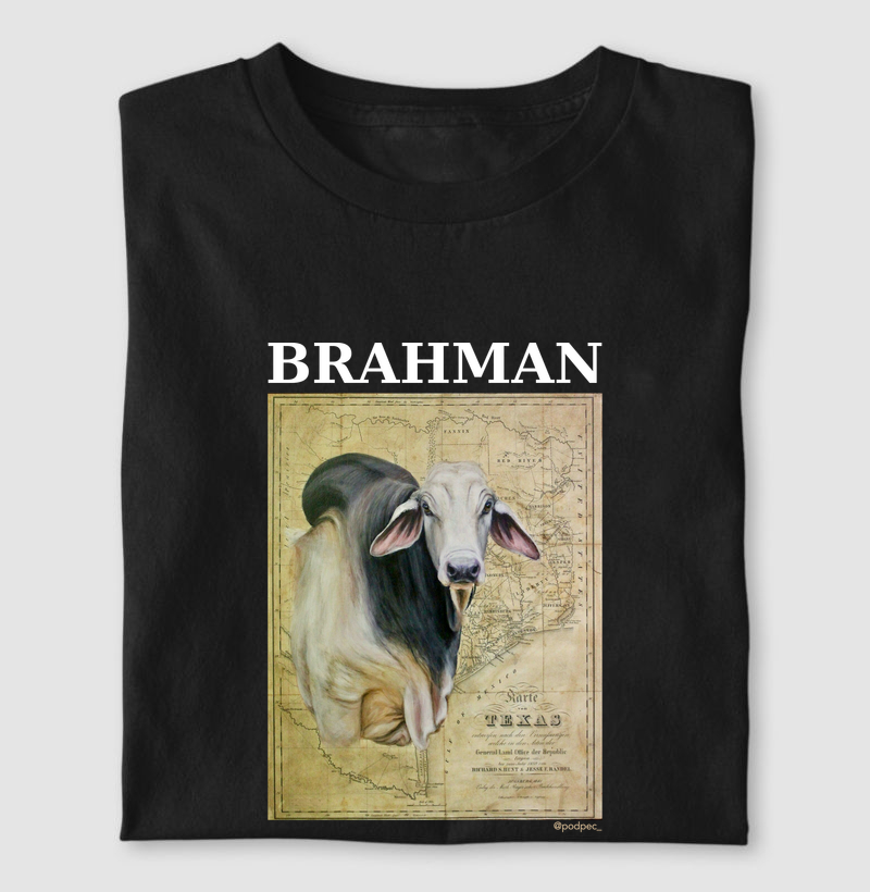 Brahman - From Texas - Camiseta