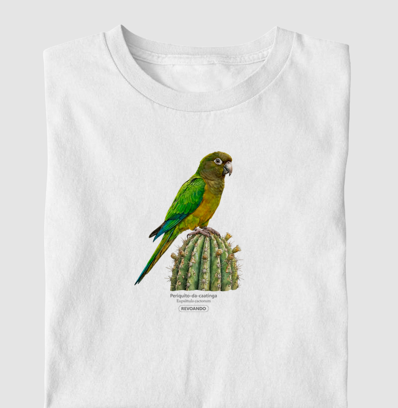 Traços Alados - Periquito-da-caatinga