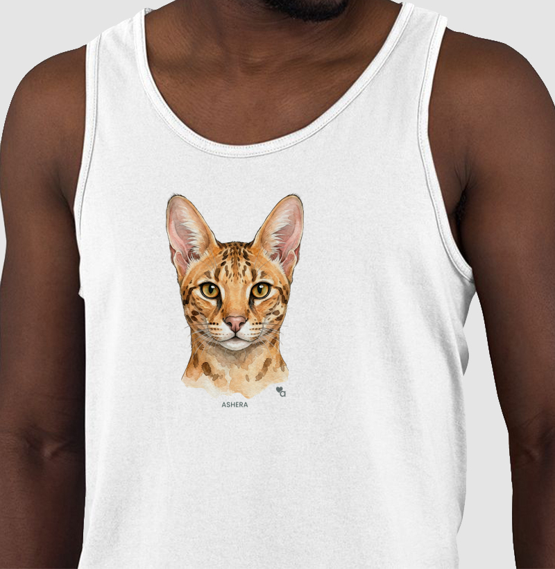 Gatos - Ashera - Regata