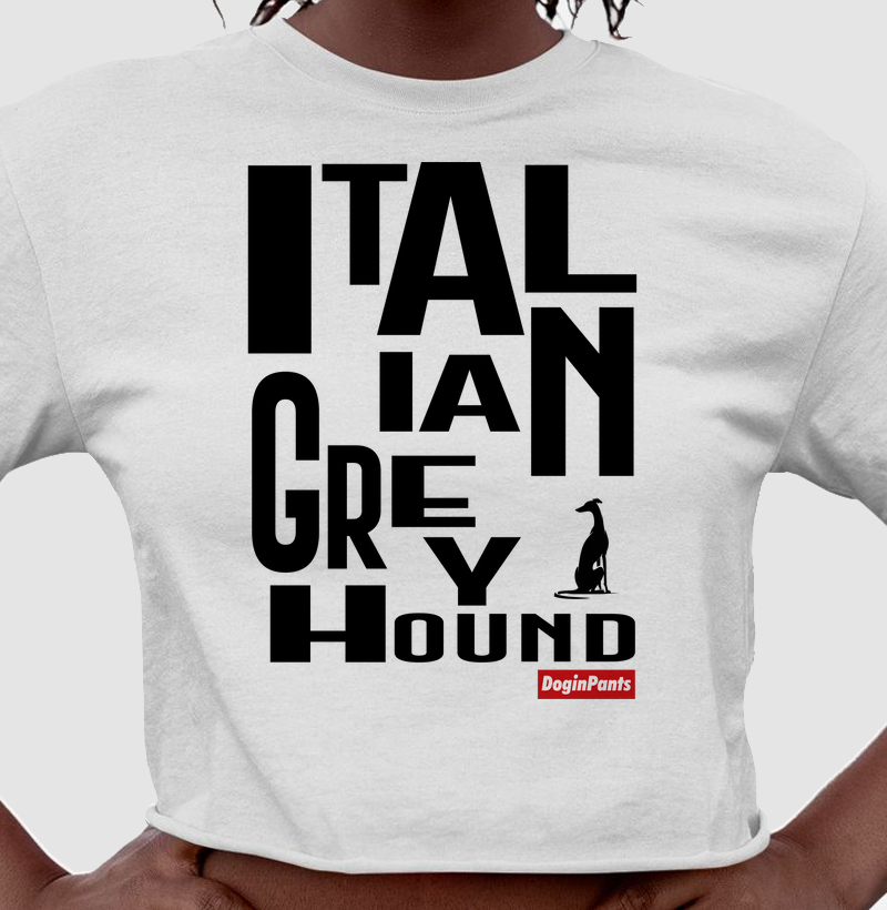 Italian Greyhound Let Big
