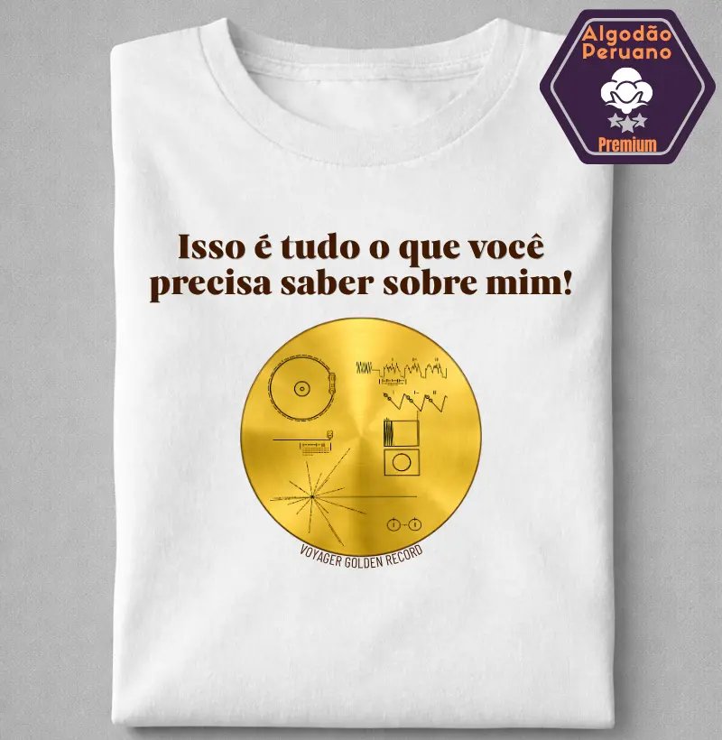 Voyager golden Record: Tudo sobre mim!