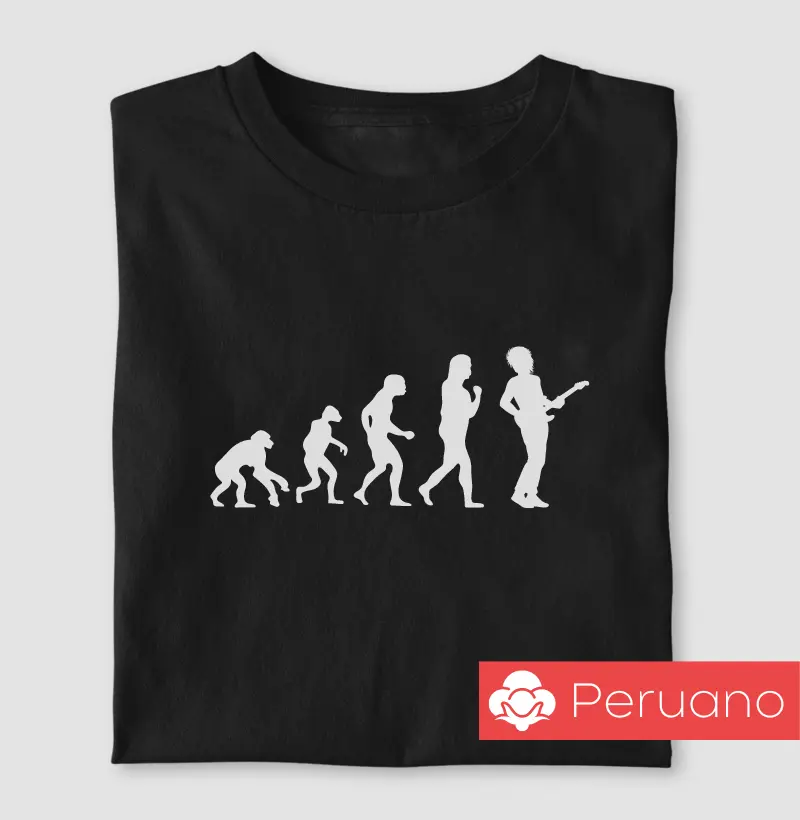 Evolução Guitarrista