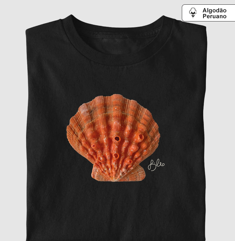 Coquille Saint Jacques