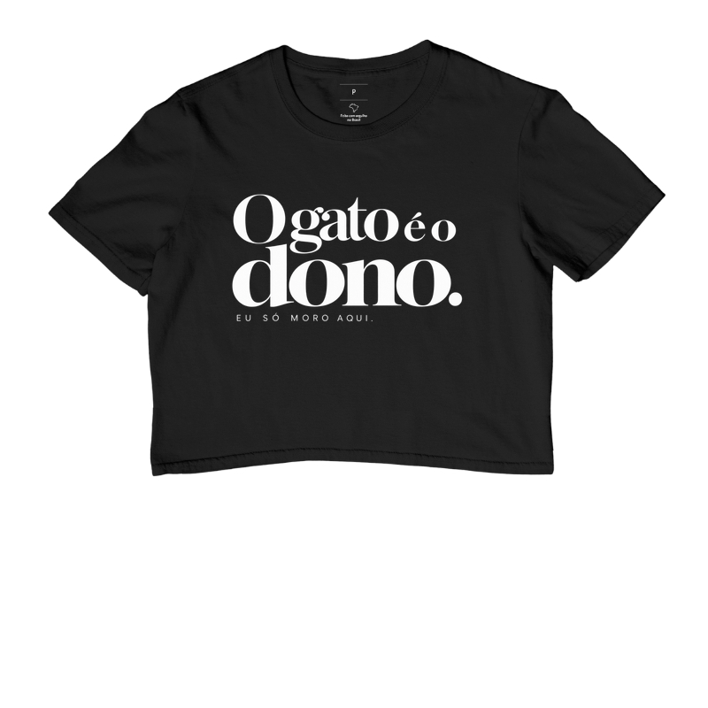 O gato é o dono...