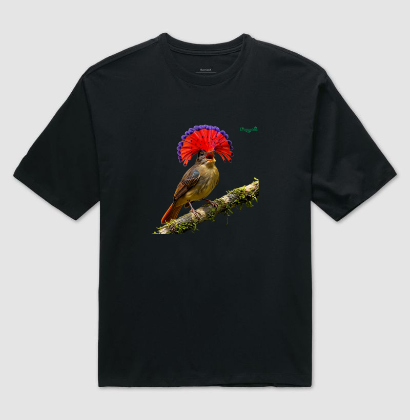Papa-moscas-real-tropical