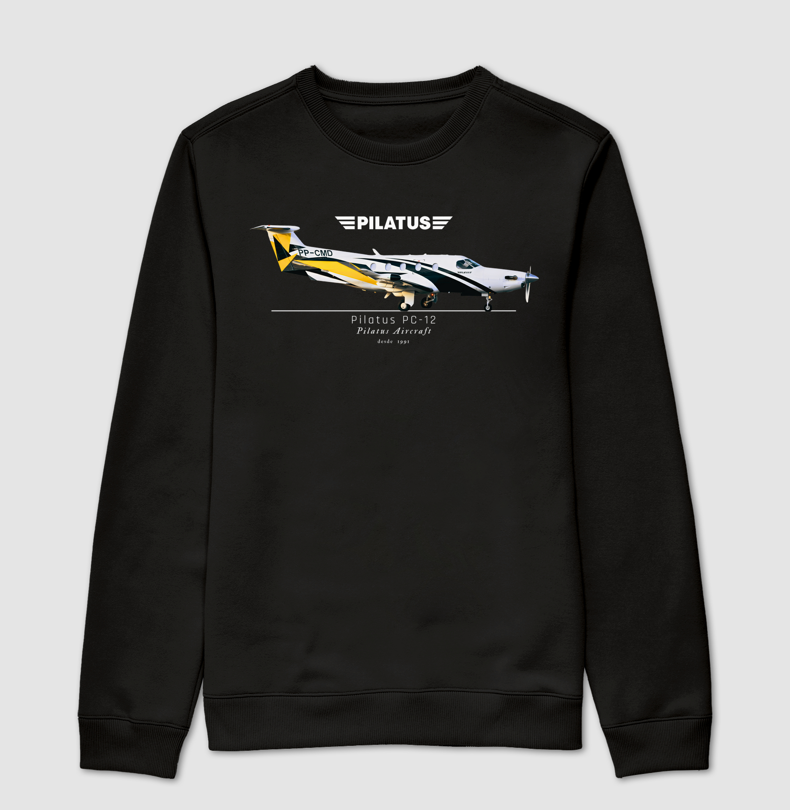 Pilatus PC-12 - Profile