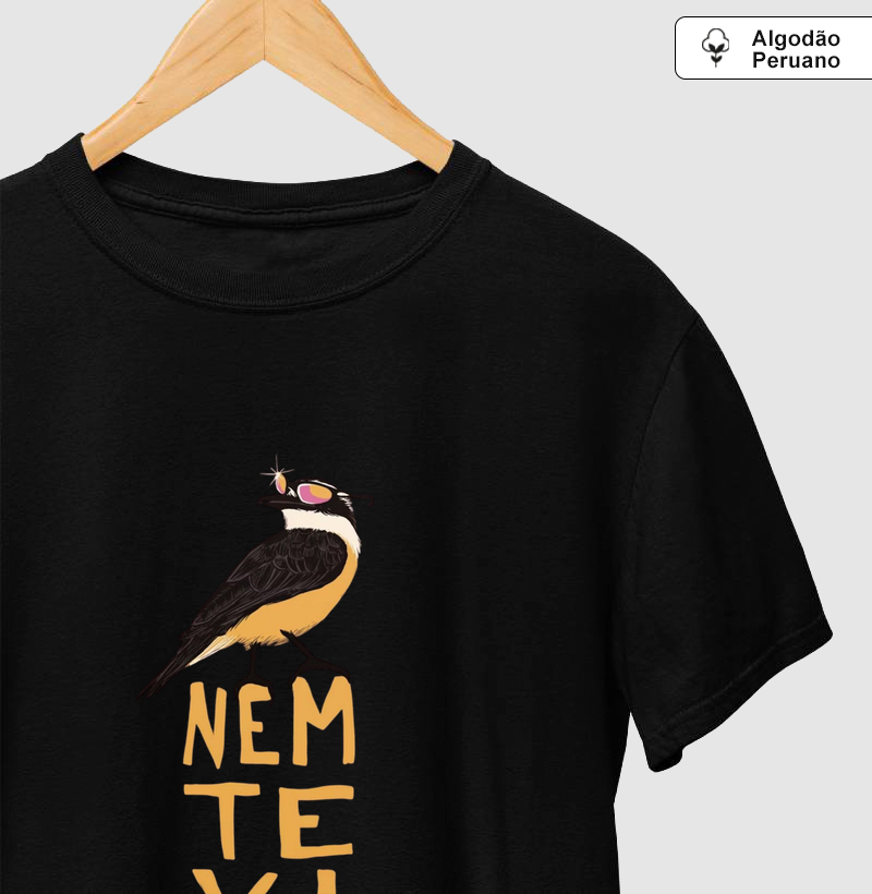 Nem Te Vi