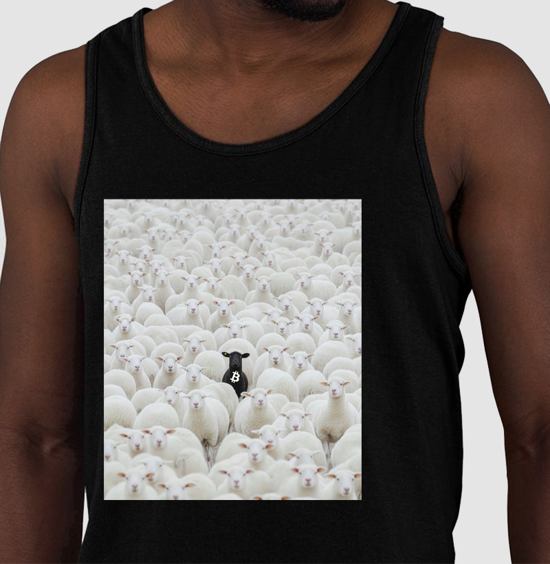 Regata Ovelha Negra Bitcoin