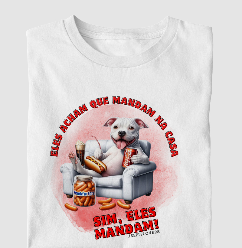 ELES ACHAM QUE MANDAM NAS CASA, SIM ELES MANDAM