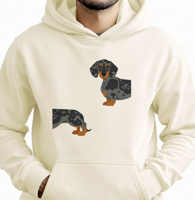 Dachshund Arlequim