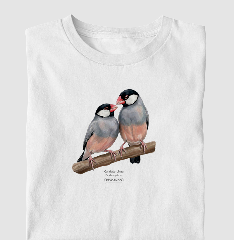 Traços Alados - Calafate-cinza