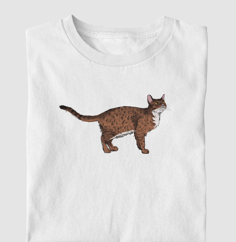 Ocicat