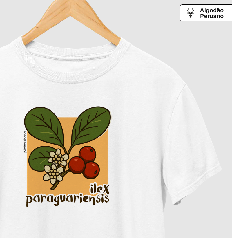 Planta Ilex (Premium)