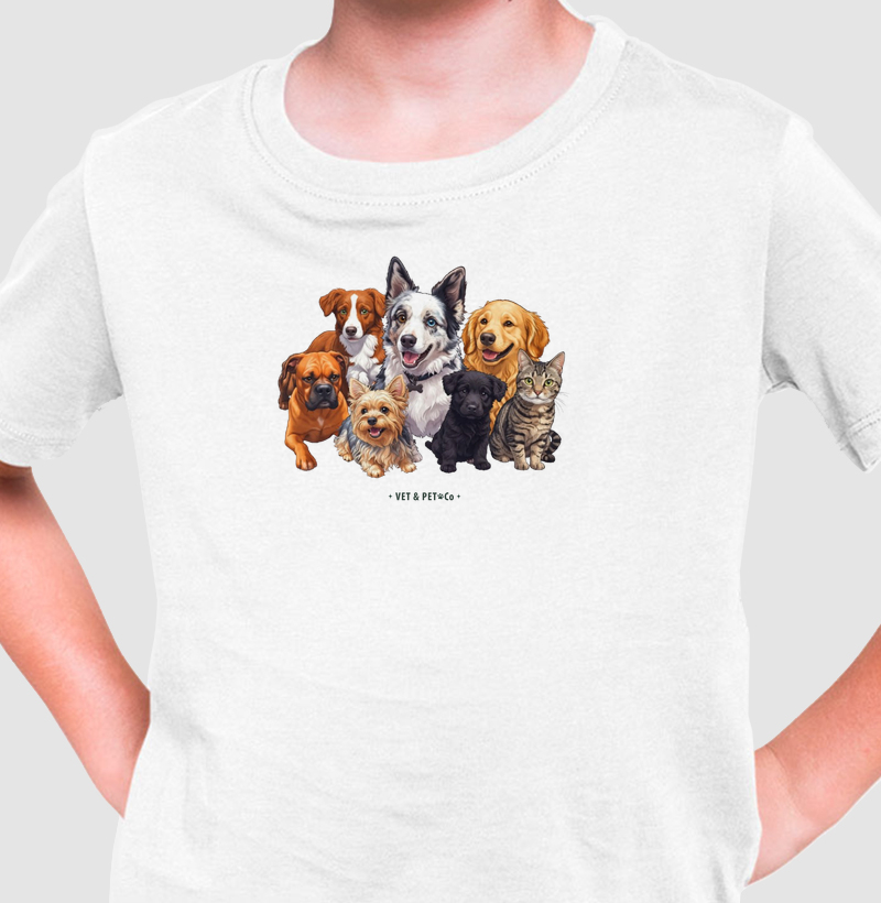 Cachorros e gato