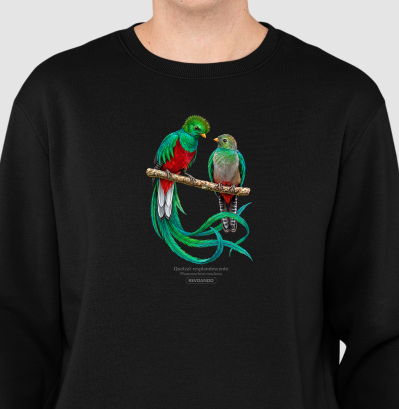 Traços Alados - Quetzal-resplandescente - Moletom - Suéter Moletom