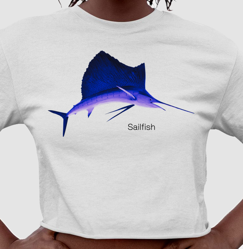 Sailfish