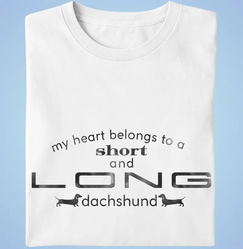 My heart belongs to a dachshund