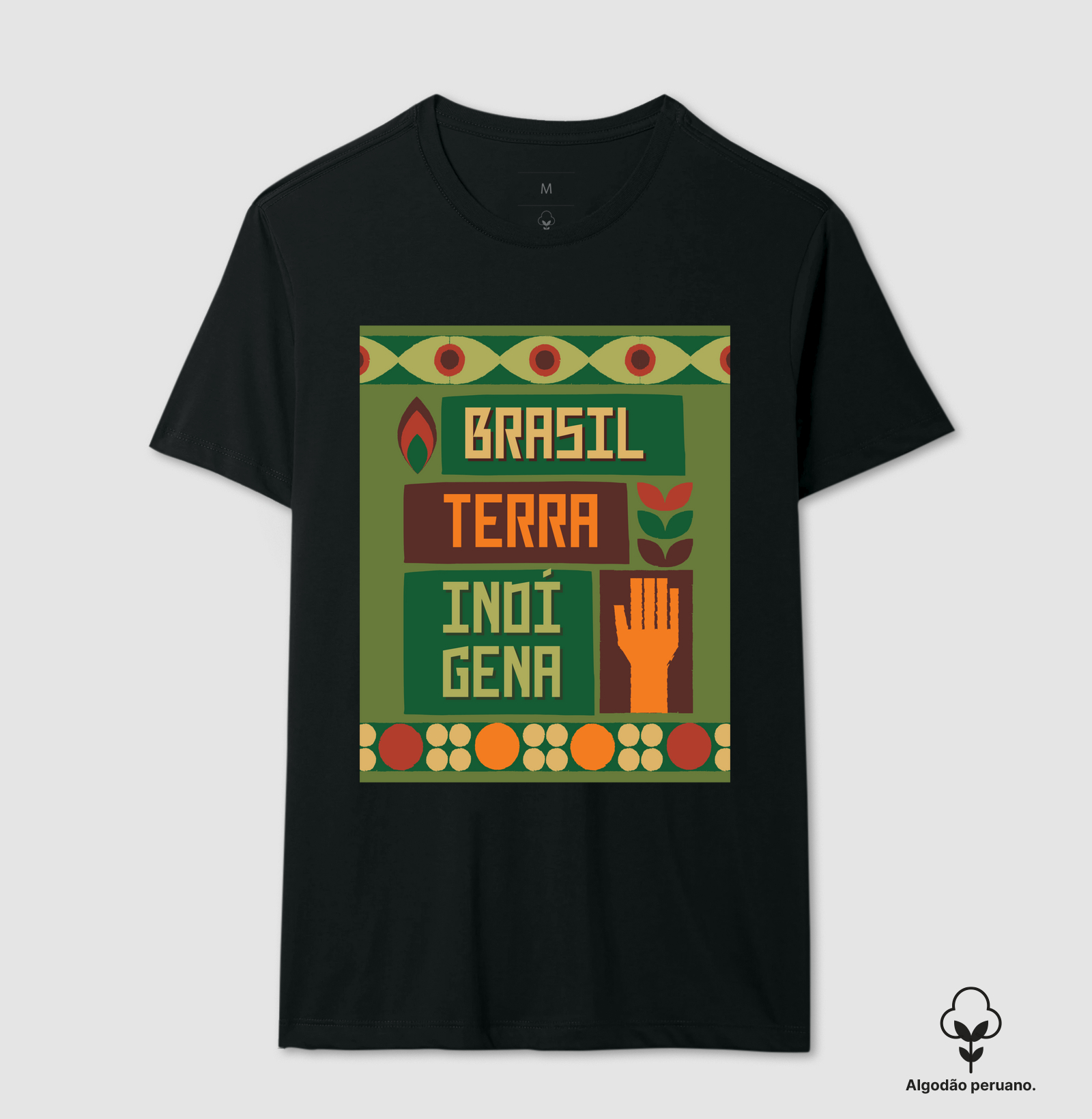 Brasil terra indígenas 