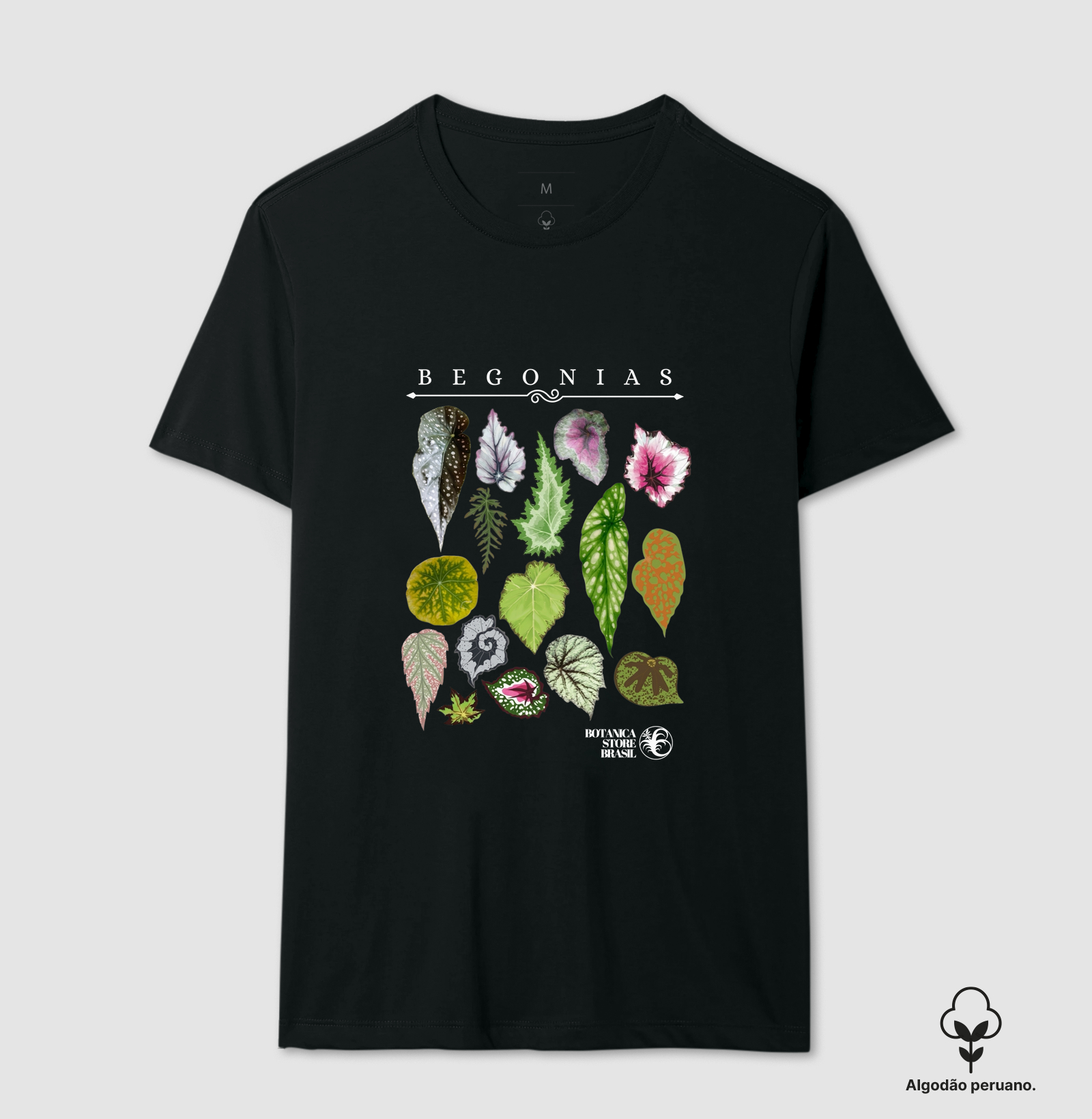 Begonias I