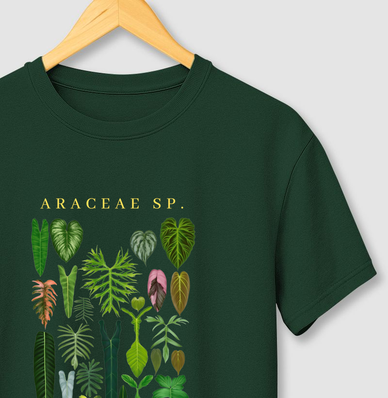 JO ARACEAE SP