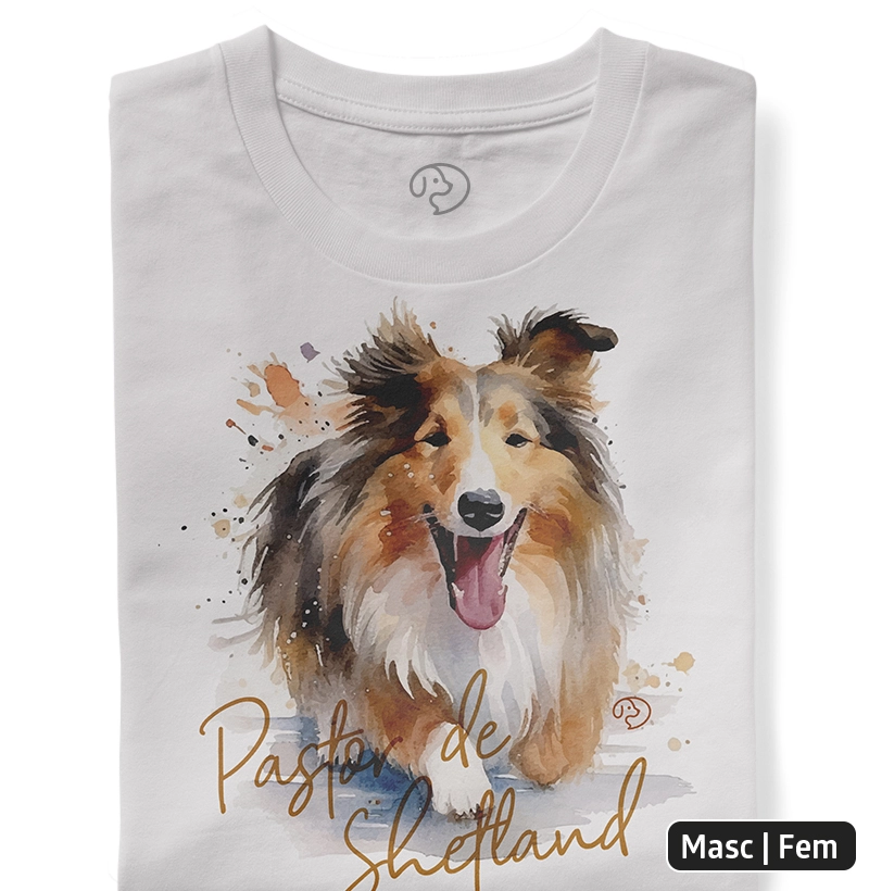 Pastor de Shetland Splash