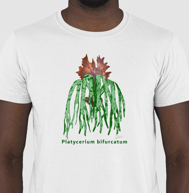 CAMISETA RESERVA.INK MASCULINA E FEMININA ARTE COADA -  Platycarium bifurcatum 